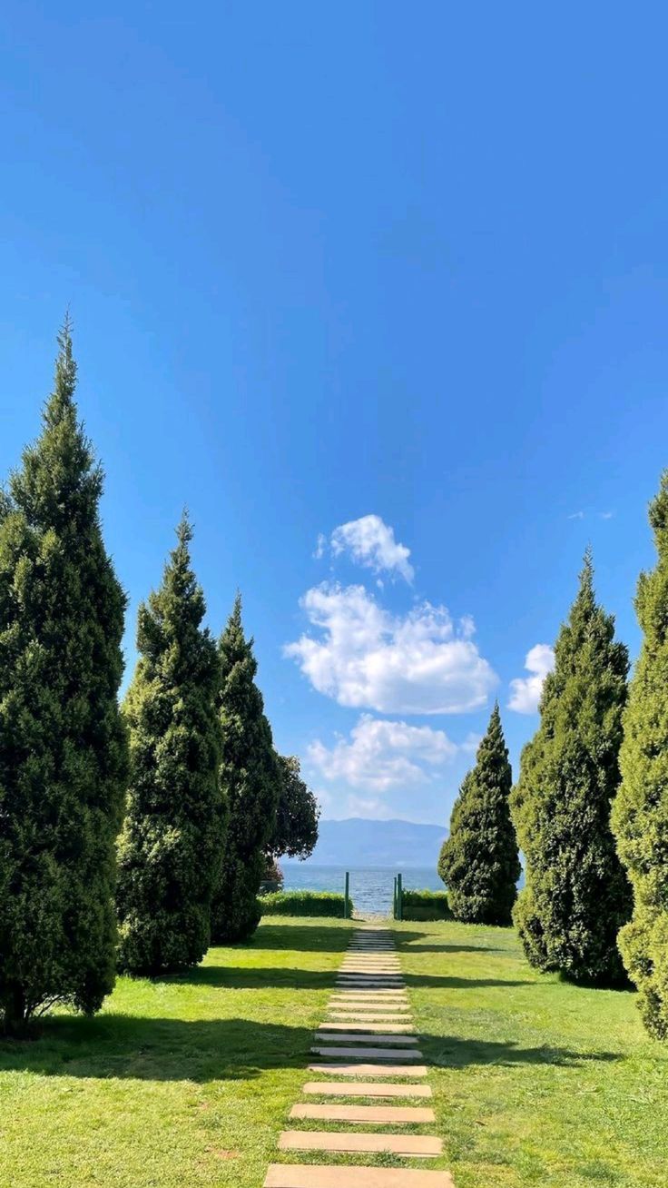 갤러리 이미지 1