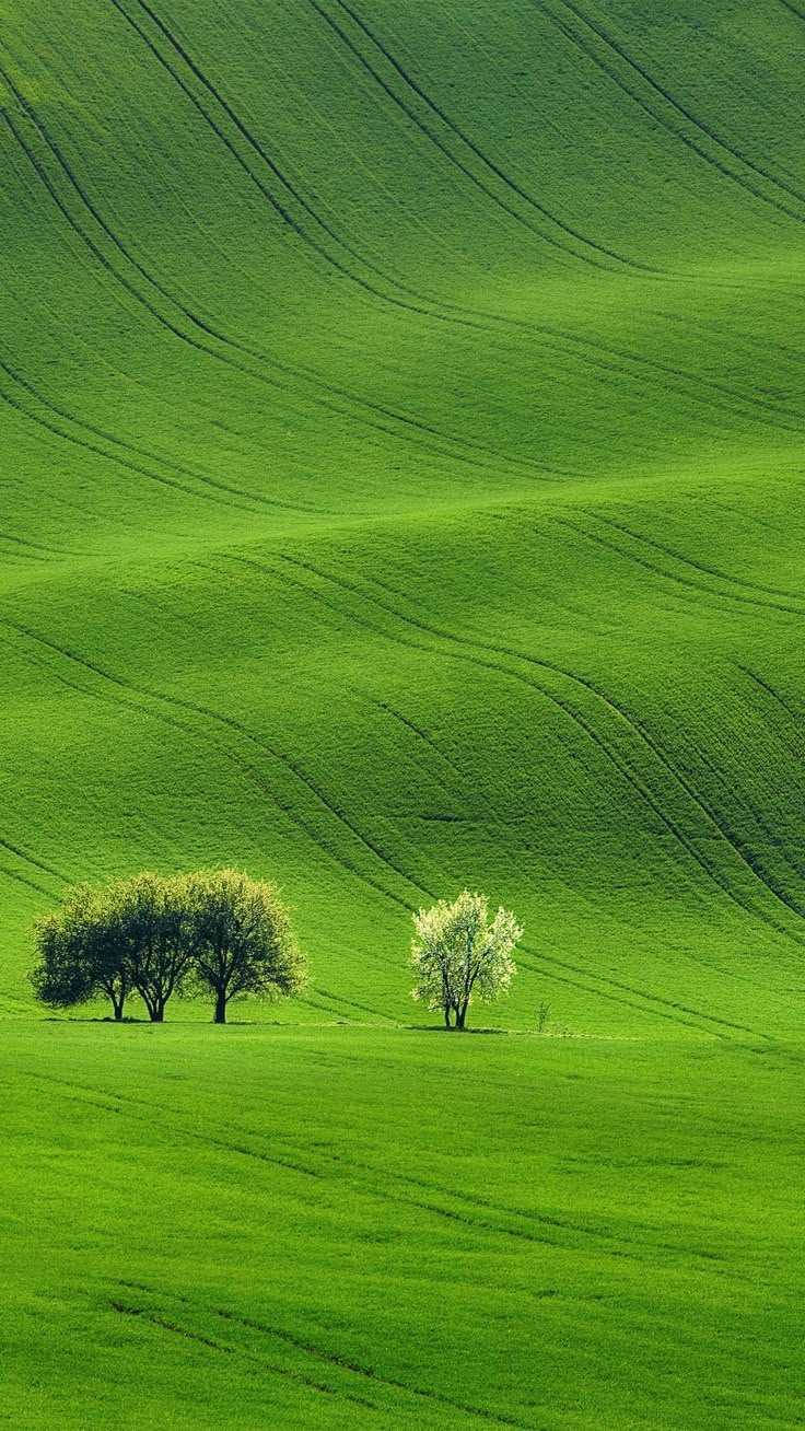 갤러리 이미지 4