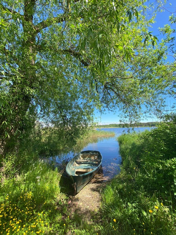 갤러리 이미지 5